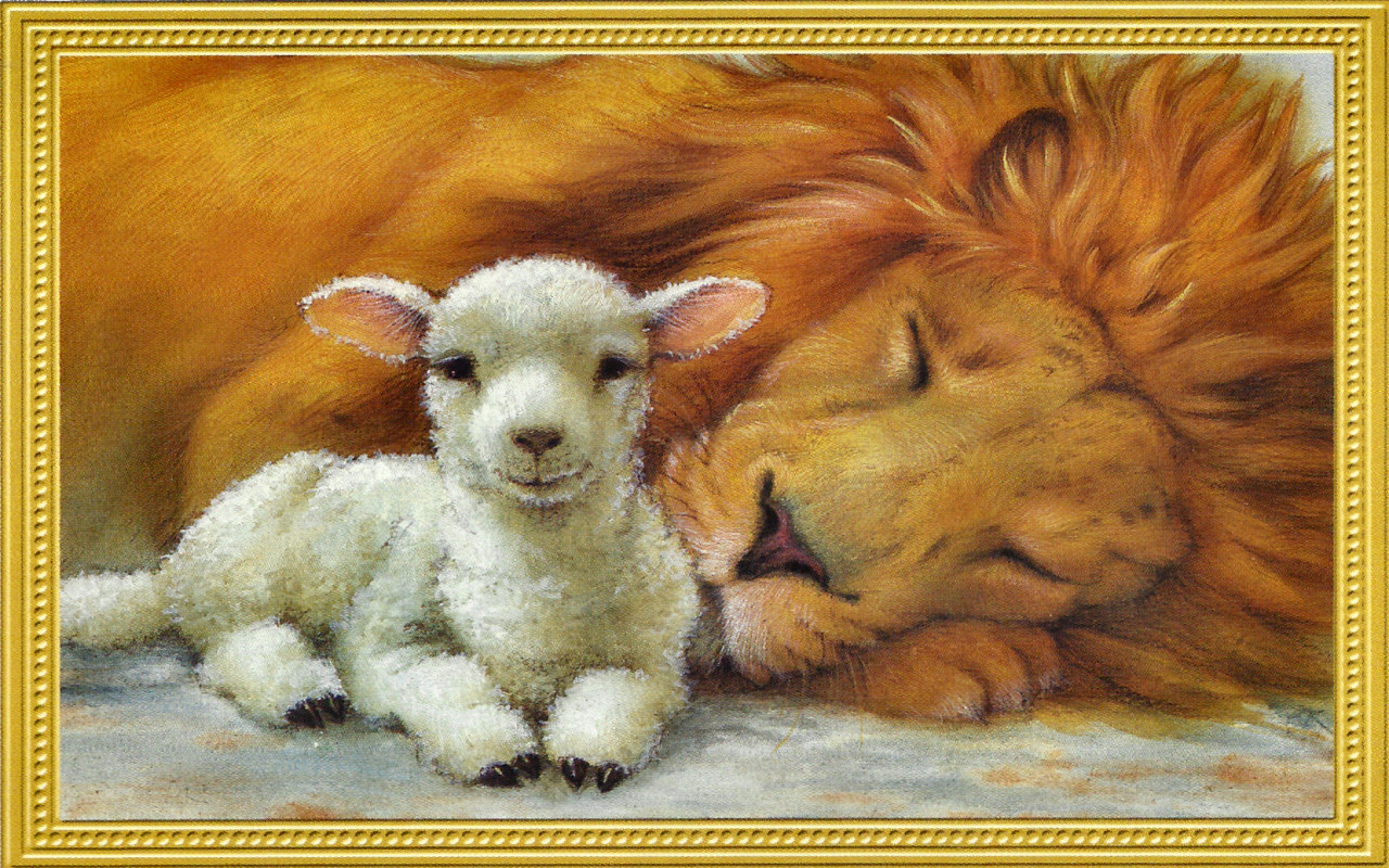 Lion And Lamb Wallpaper