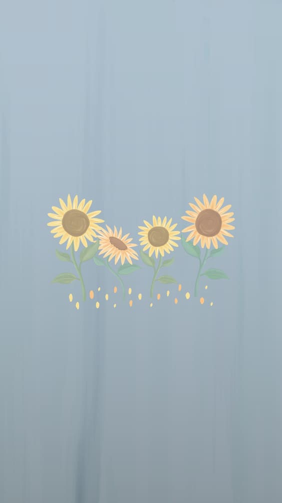 Aesthetic Flower Wallpaper For iPhone HD