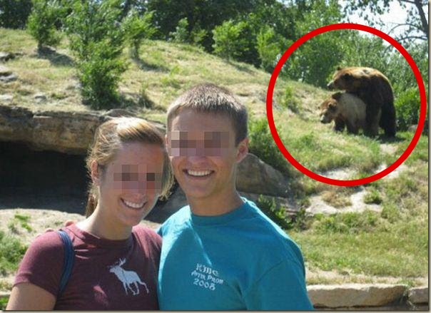 Funny Pictures Photobombs And People In Background