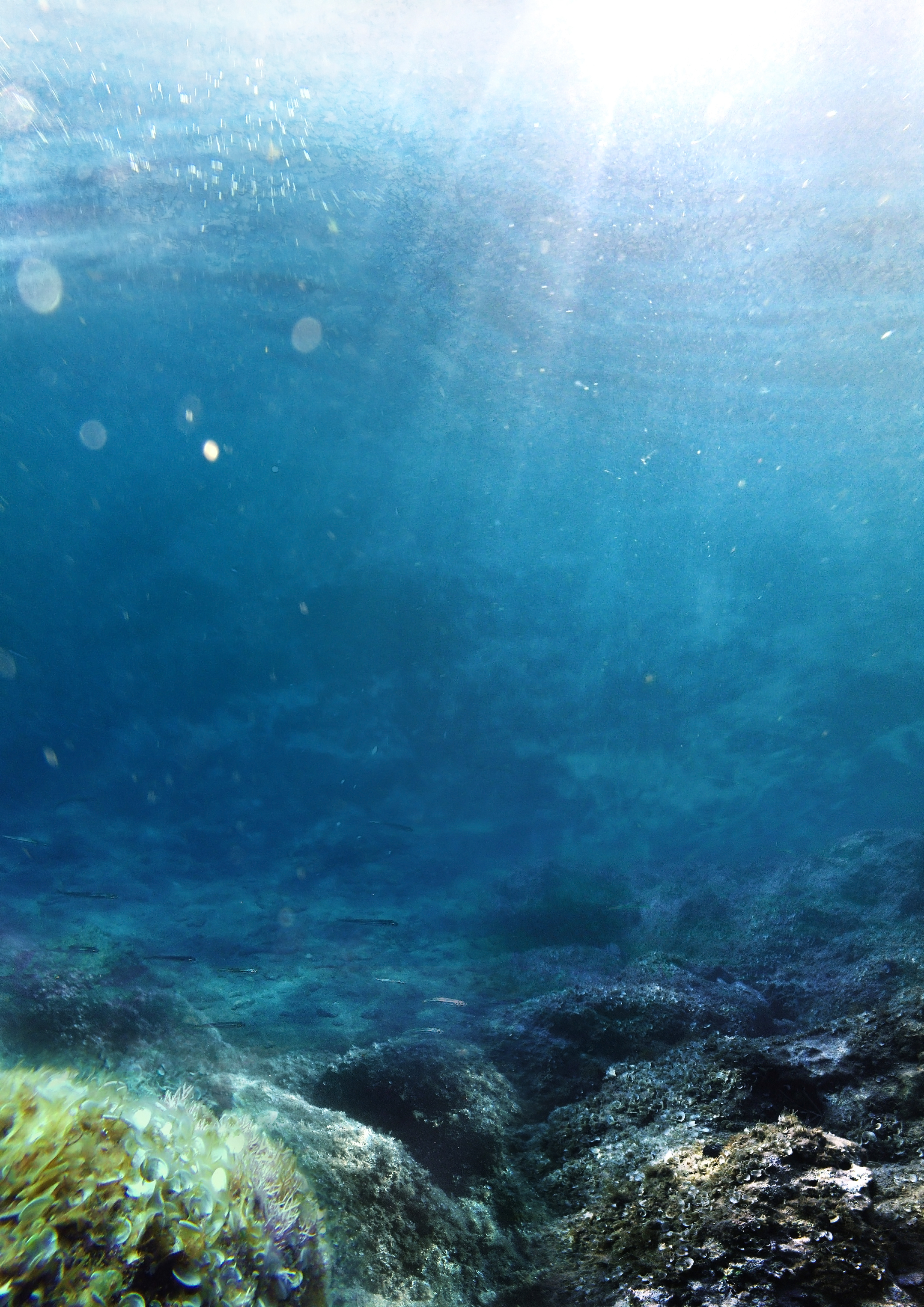 Underwater Stock Premade Background By Yaensart On