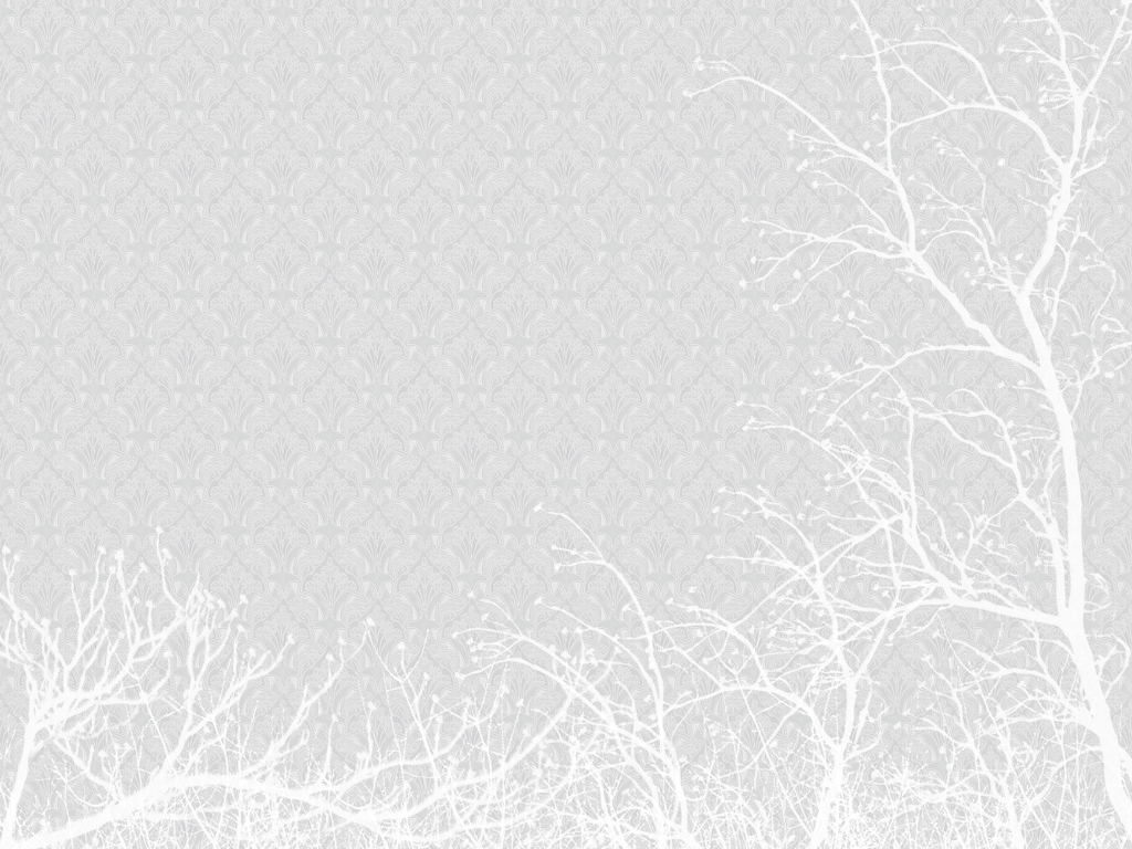 All White Wallpaper And Trees By