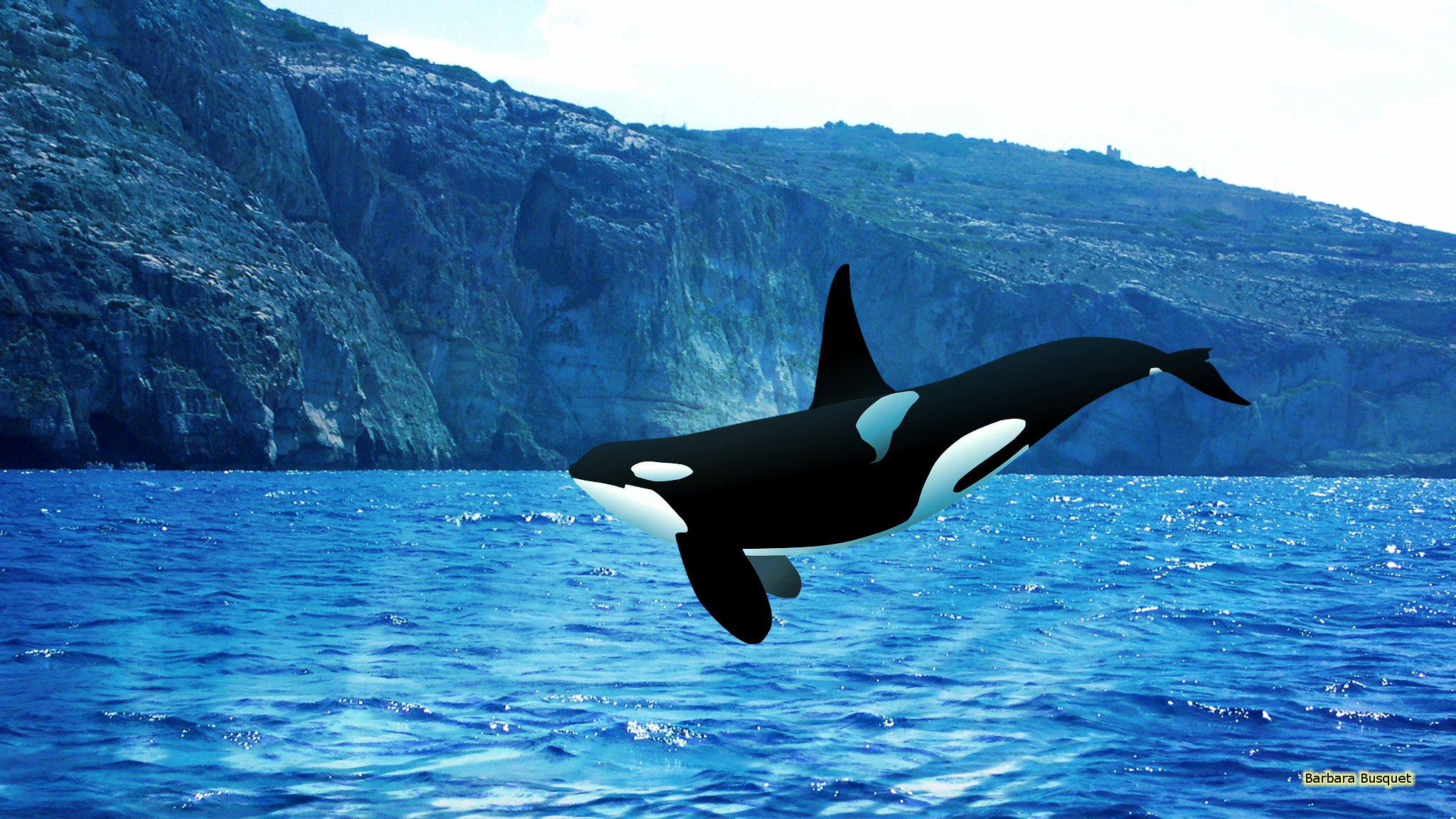 Killer Whale Wallpaper Desktop - WallpaperSafari