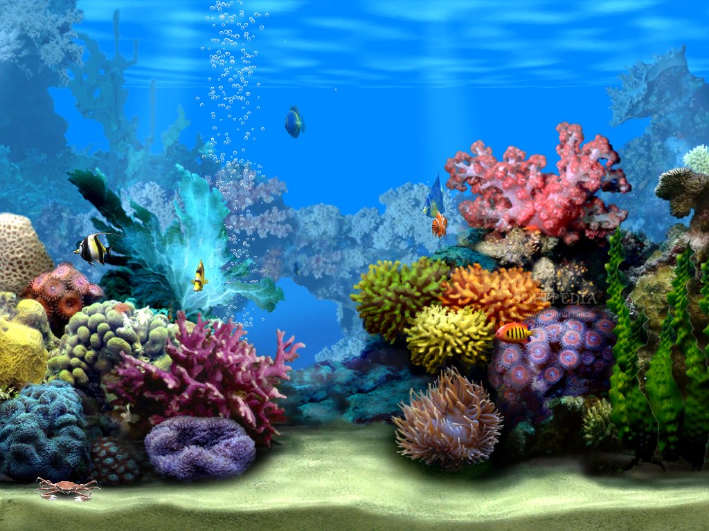 Wallpaper Aquarium 3d Bergerak Pc Image Num 64