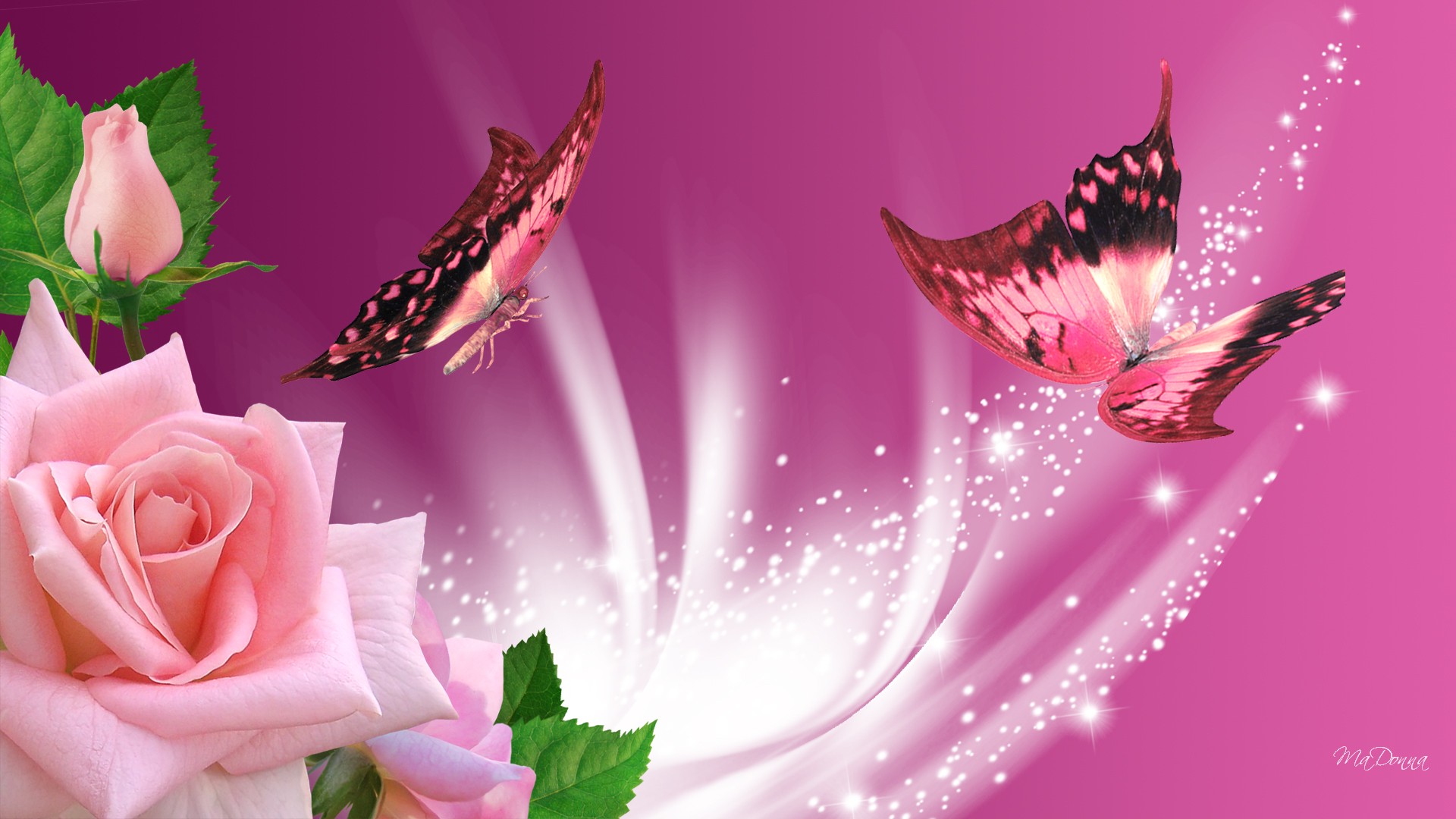 Wallpaper Pink Butterflies HD