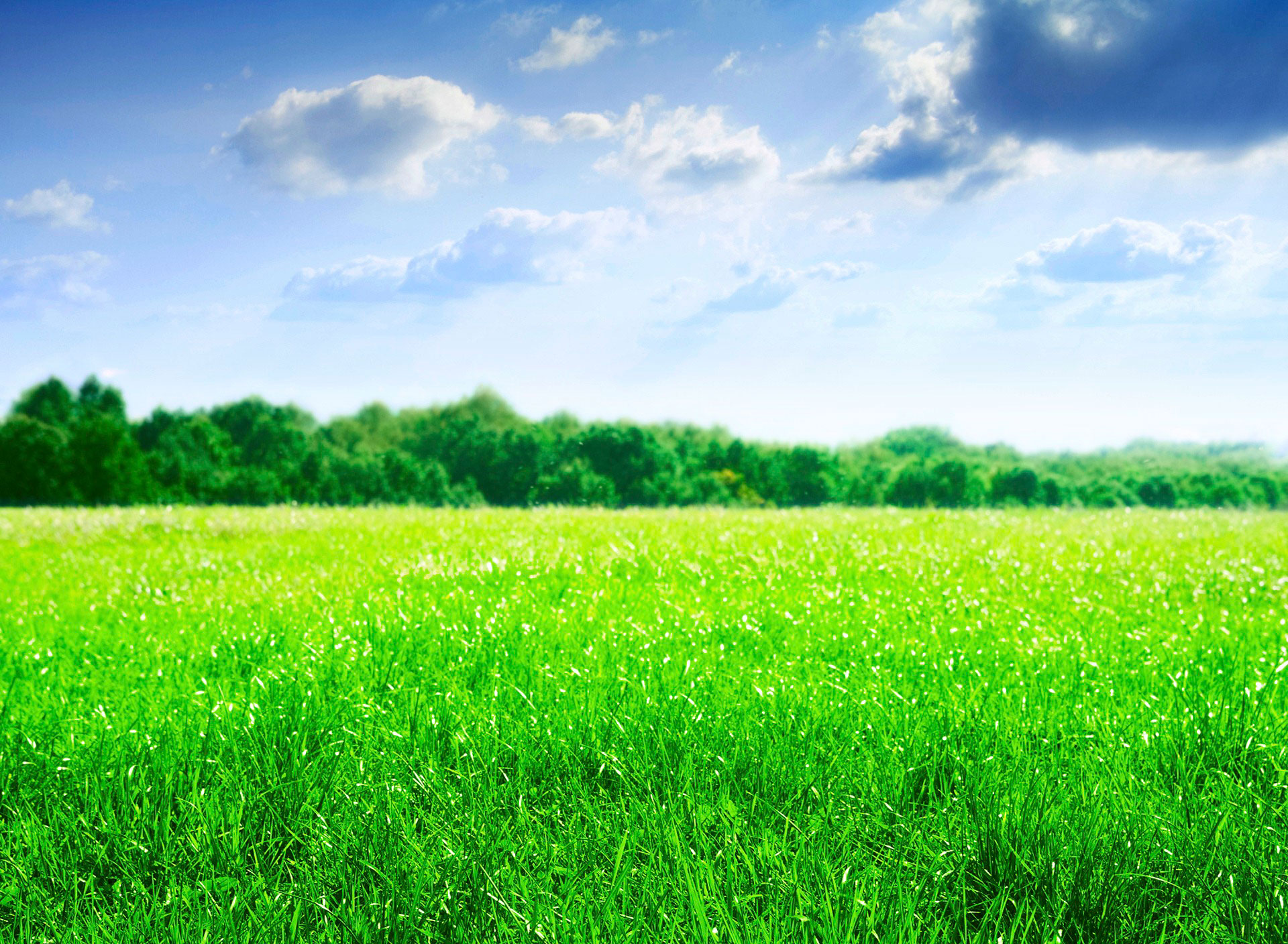 Green Field Tablet Wallpaper And Background