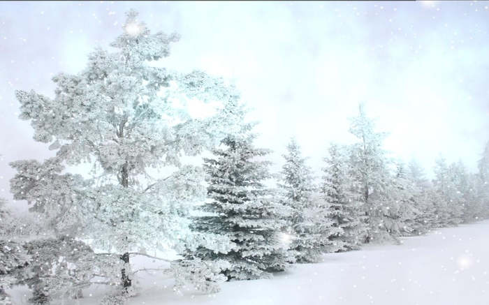 Snow Falling Animated Wallpaper Winter