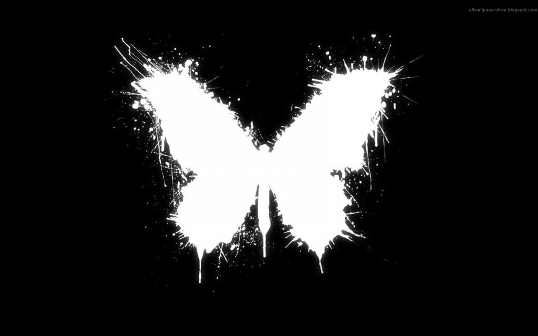 Butterfly White Black Background HD Wallpaper Of