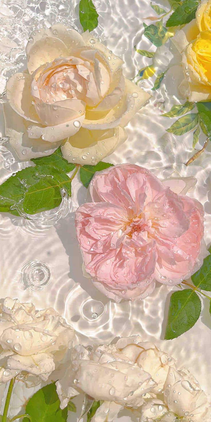94992a1d85e71bceb01905c2467062b1 Wallpaper