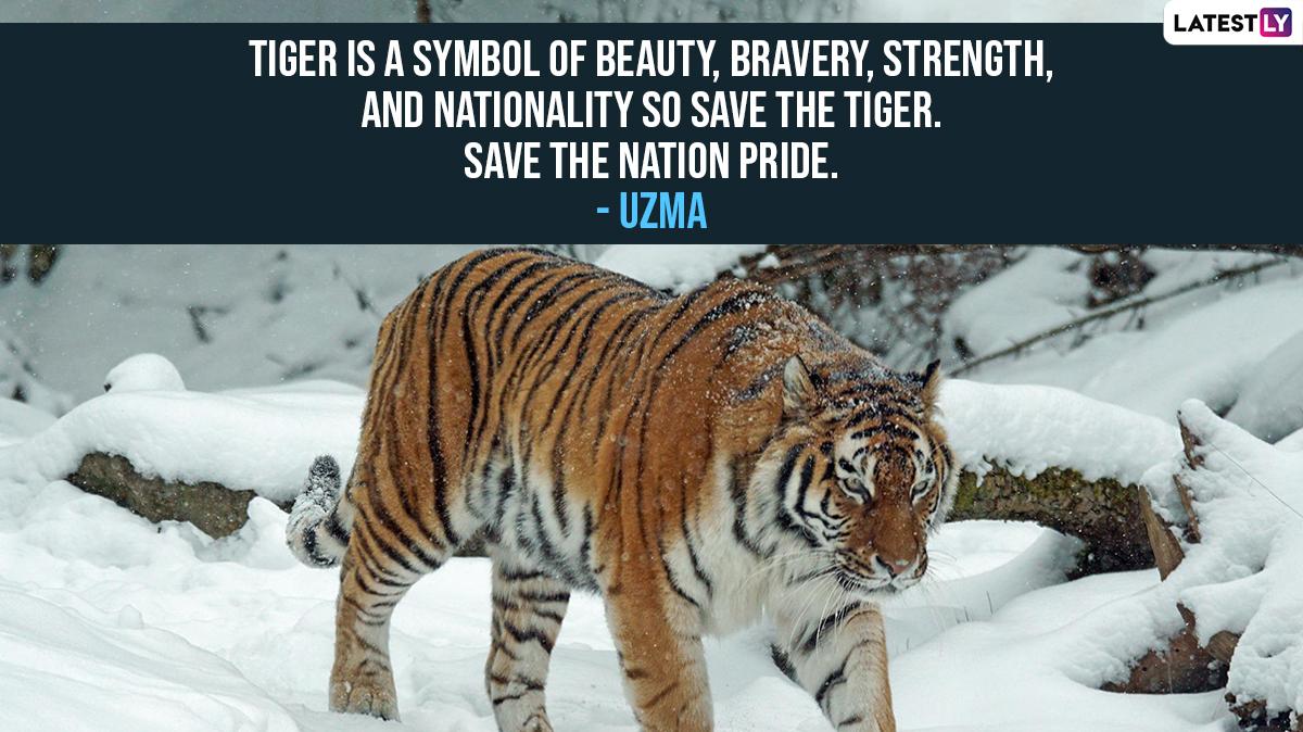 International Tiger Day Quotes Wallpapers Messages