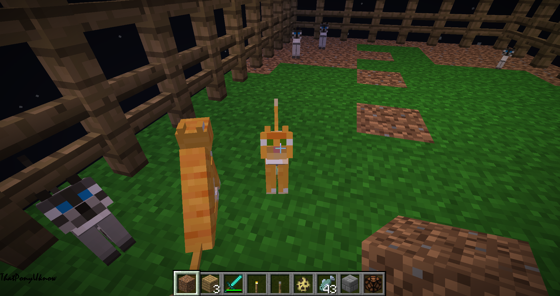 My Cats In Minecraft By Thatponyuknow