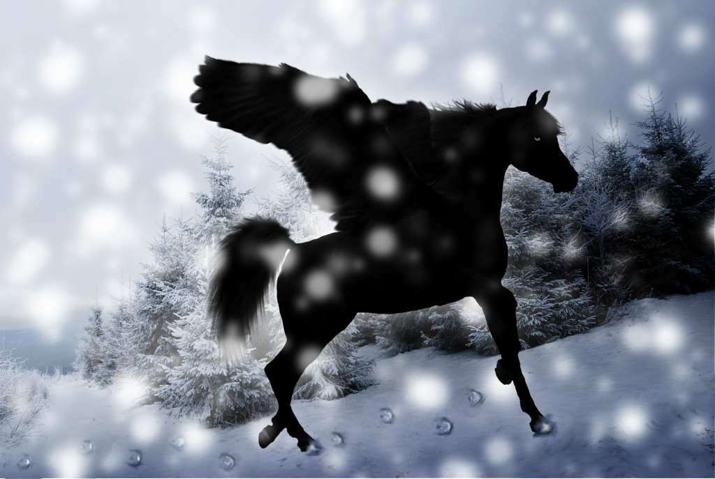 Black Pegasus Wallpaper In Snow By