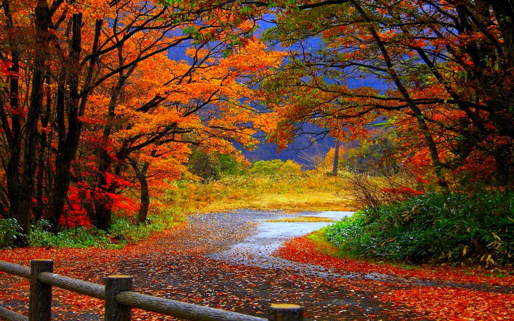 Beautiful Mountain Scenery Wallpaper