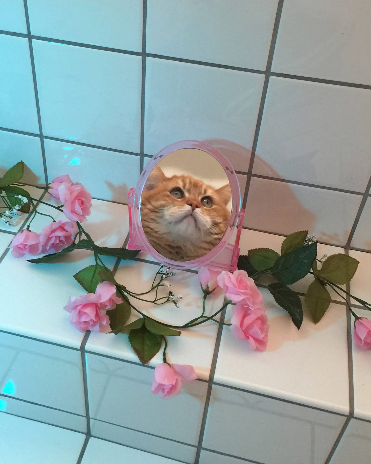 Funny Aesthetic Wallpaper