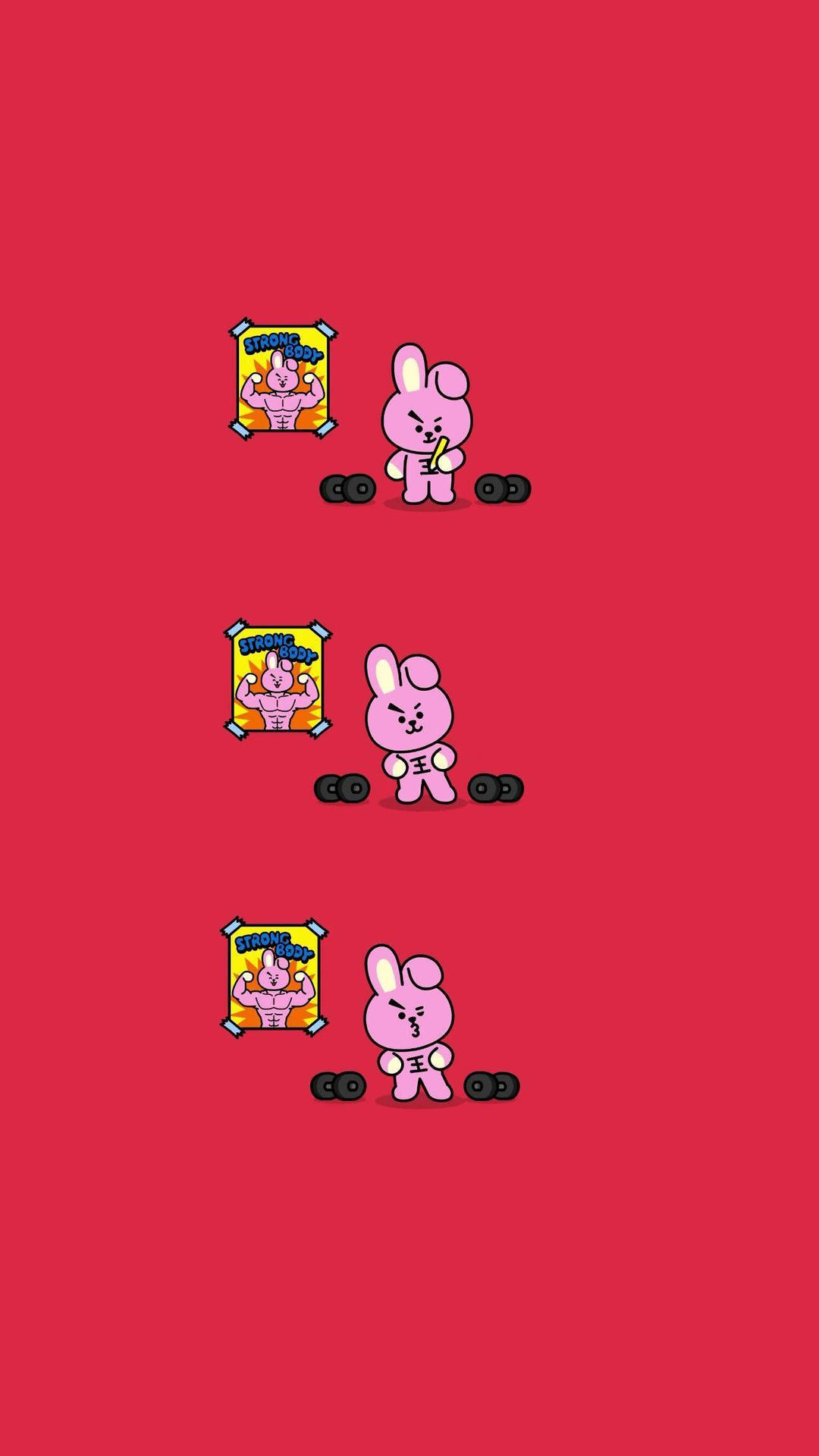 Cooky Bt21 Wallpaper