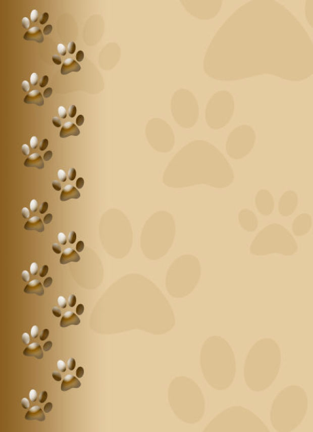 Dog Paw Print Background