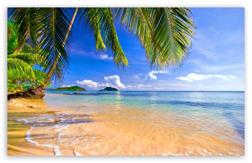 Shore Palms Tropical Beach HD Desktop Wallpaper High Definition