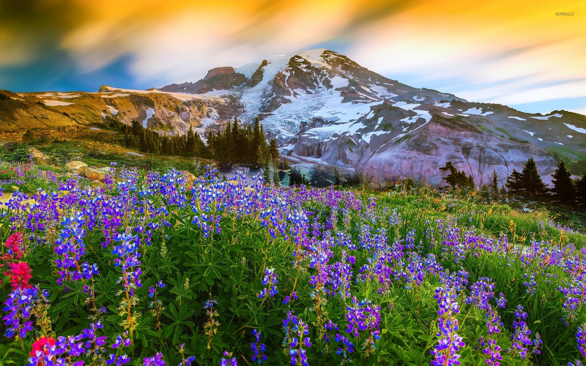 Mount Rainier Wallpaper And Background Image