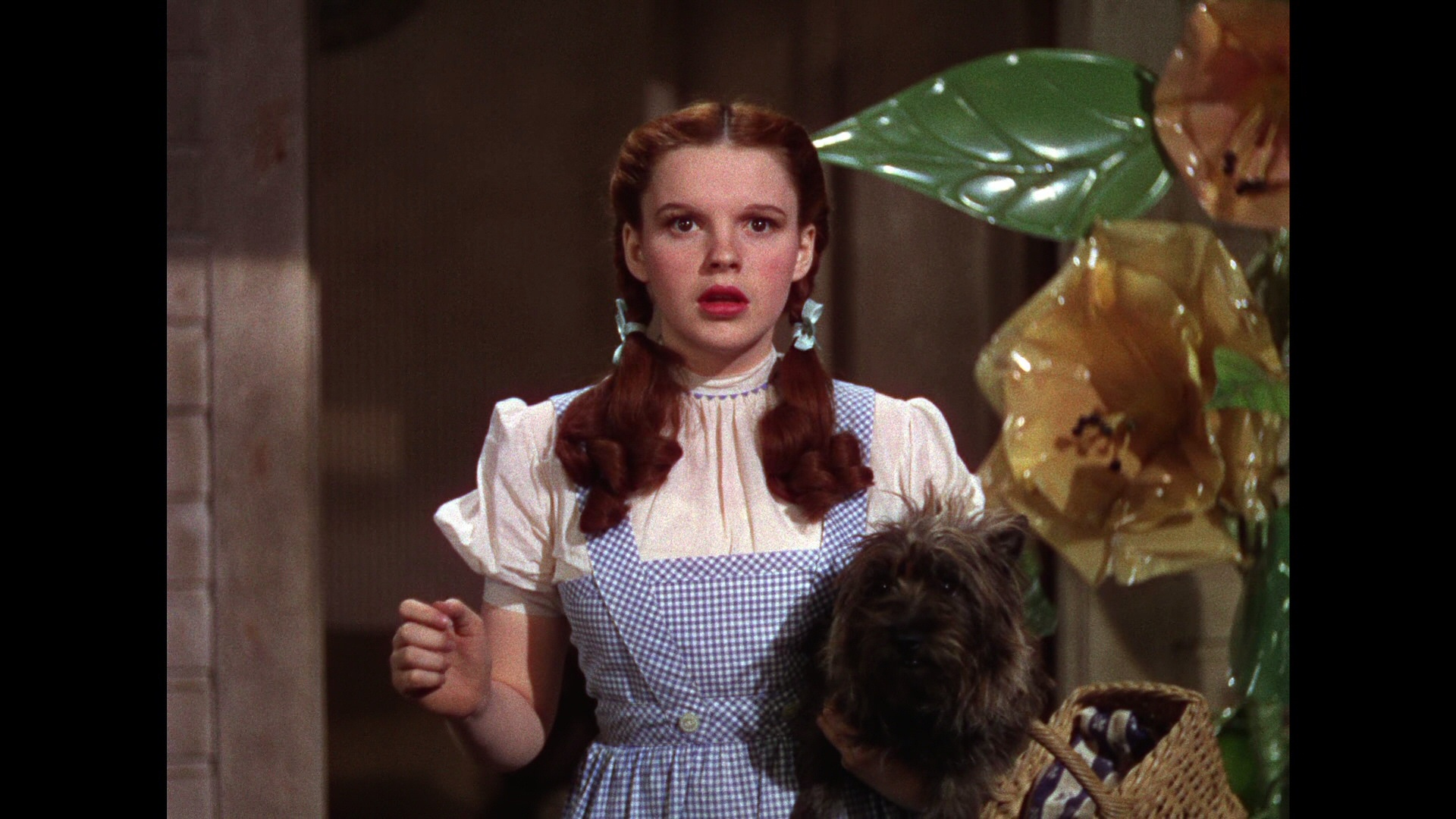 Source Url Kootation Judy Garland The Wizard Of Oz Html