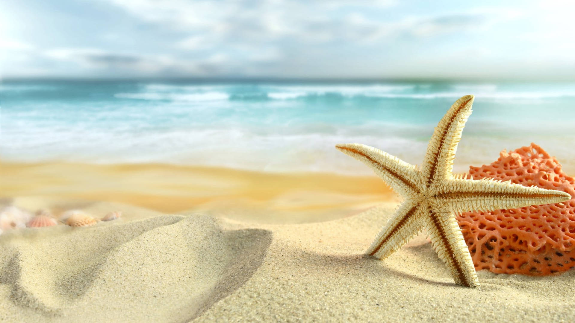 Top White Beach Wallpaper Full HD 4k To Use