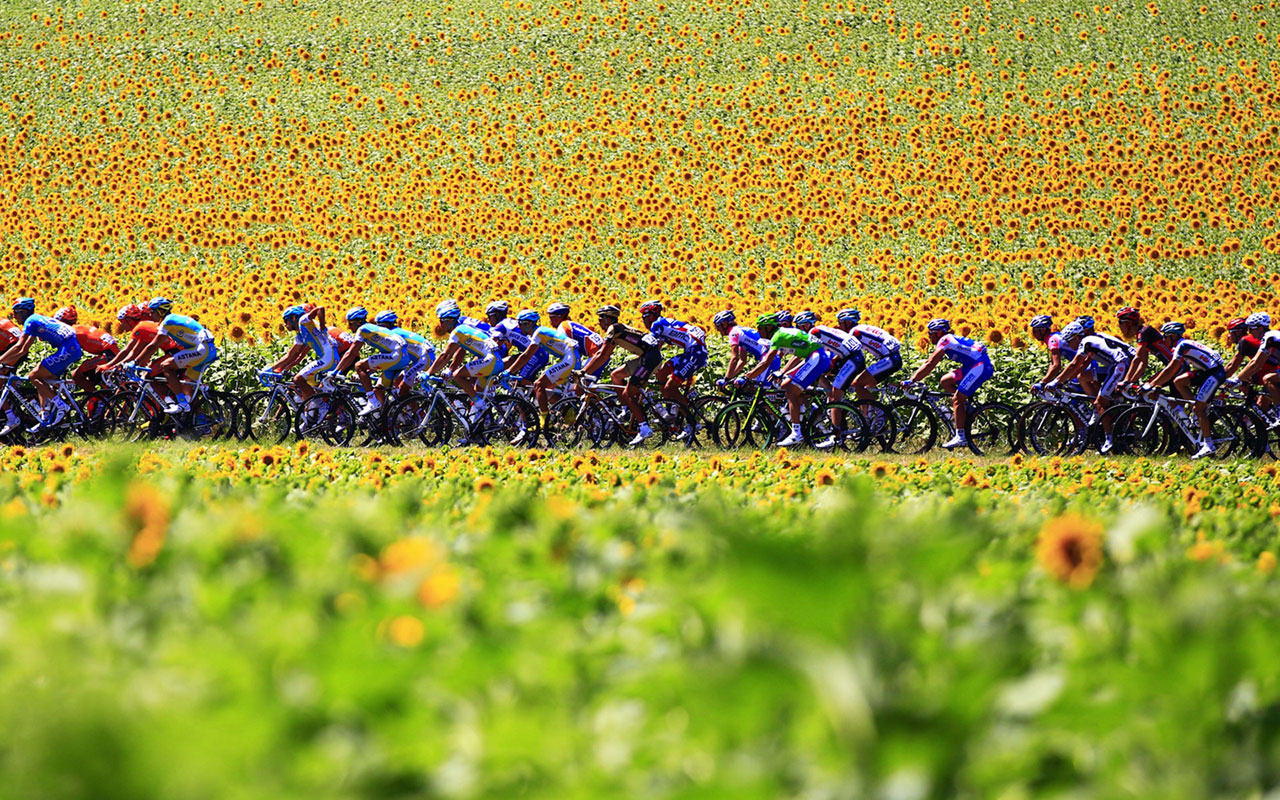 Tour de France   Cycling 14 Sports Wallpapers 1280x800