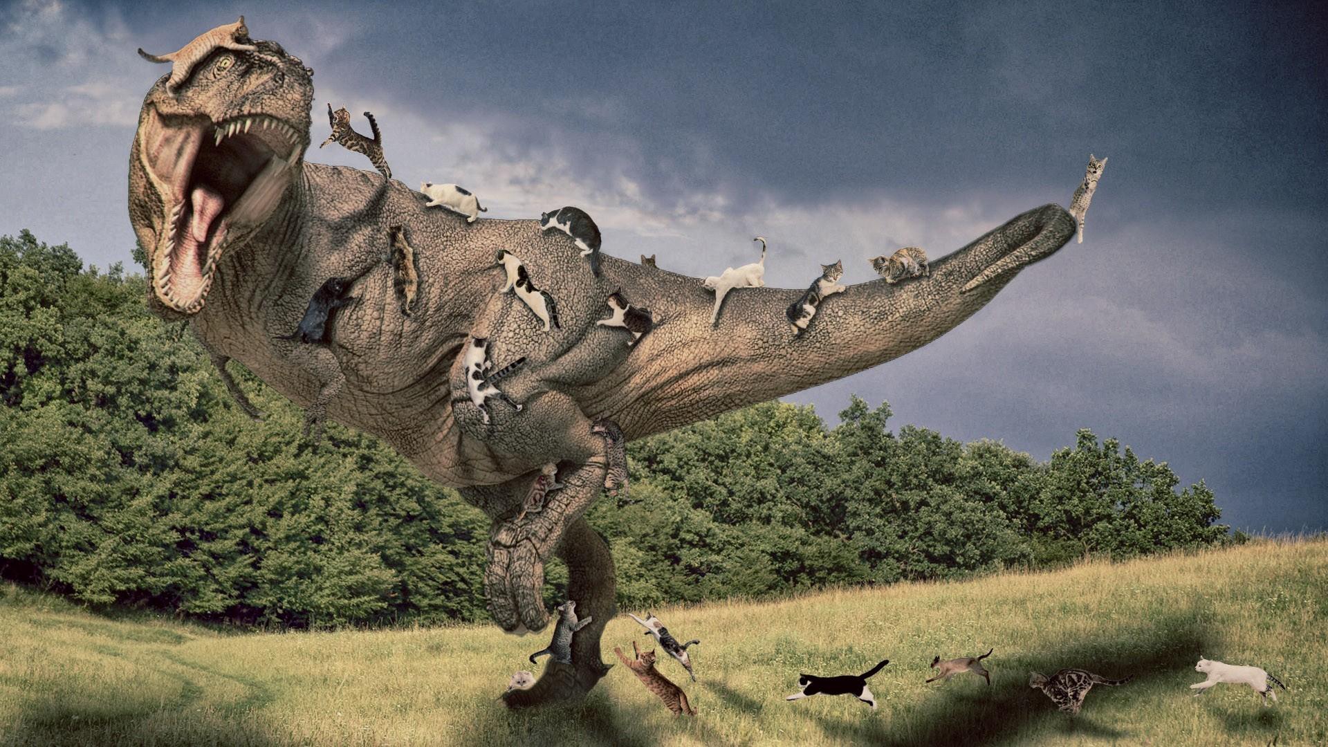 Tyrannosaurus Rex Artwork Cats Photo Manipulation
