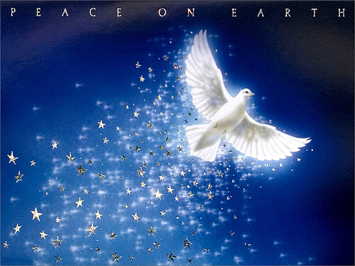 Christmas Dove Peace On Earth Wallpaper Photo