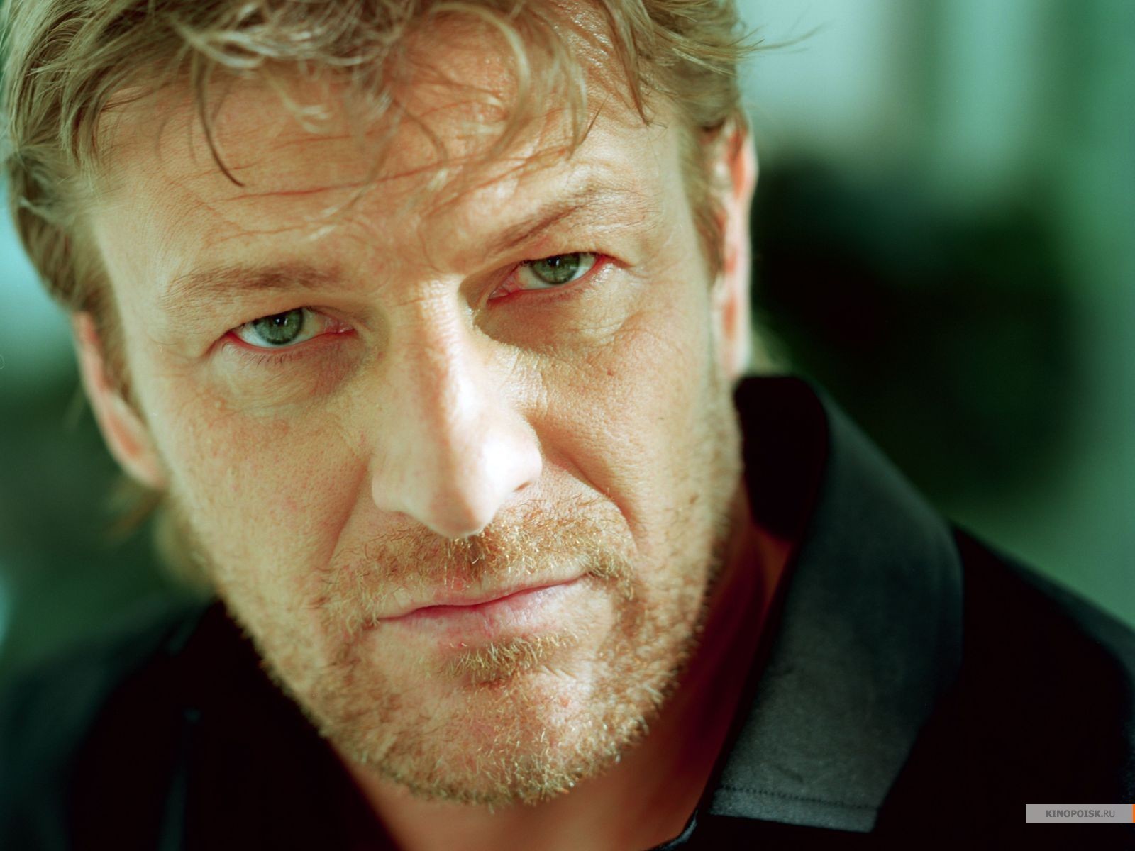 Sean Haricot F Ve Image HD Fond D Cran And