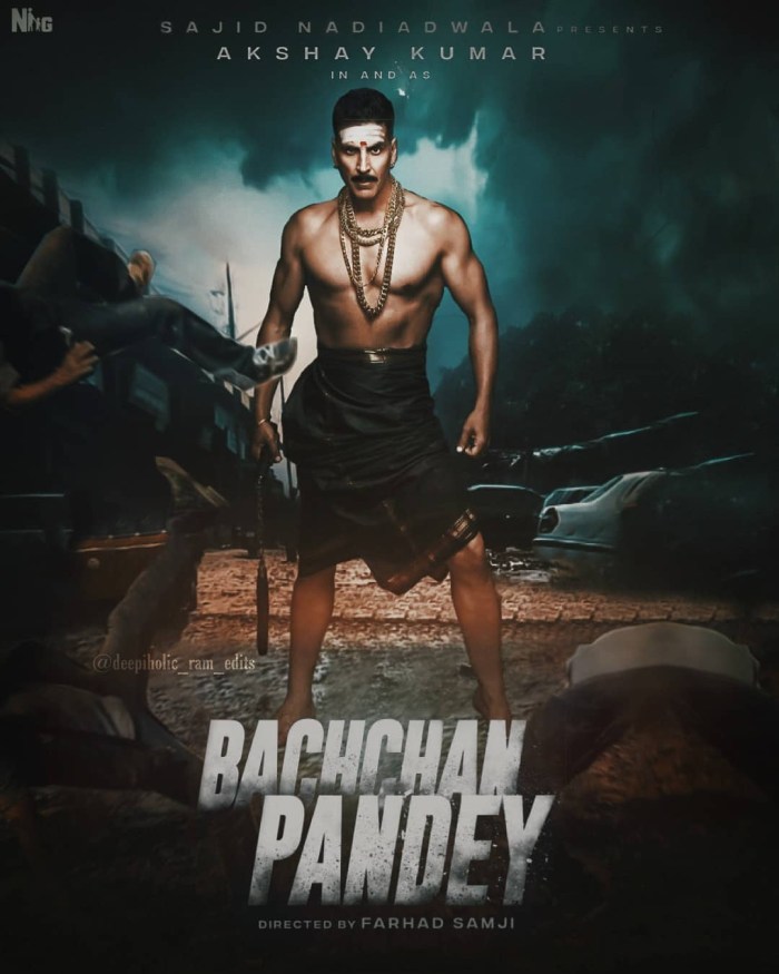 Bachchan Pandey Movie Mocamboo