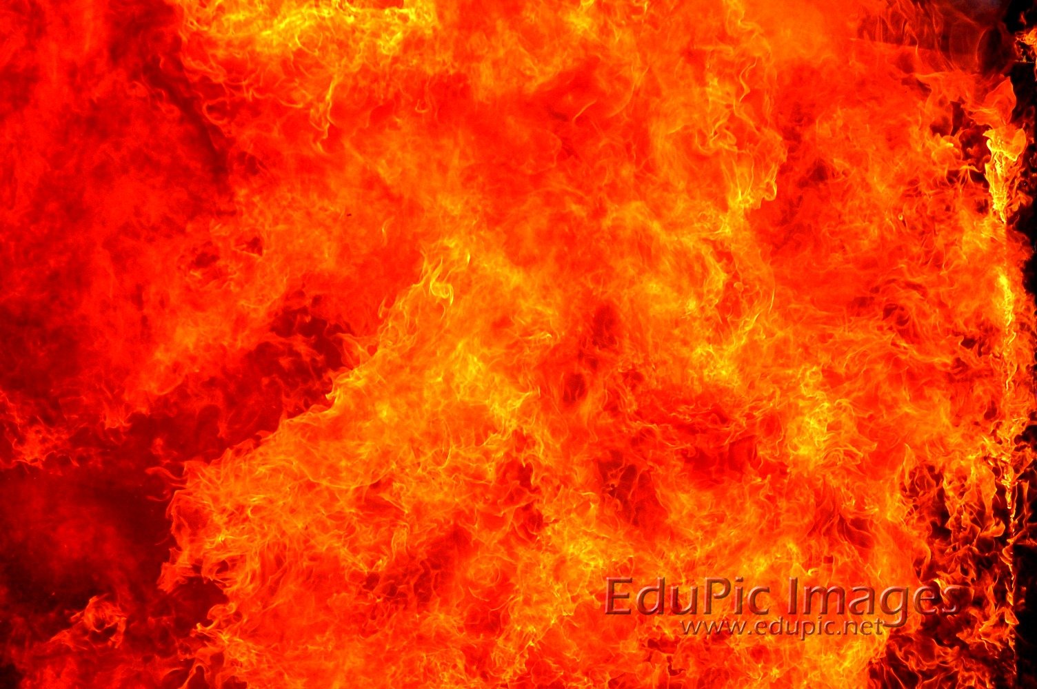 fire flames live burn 1504x1000