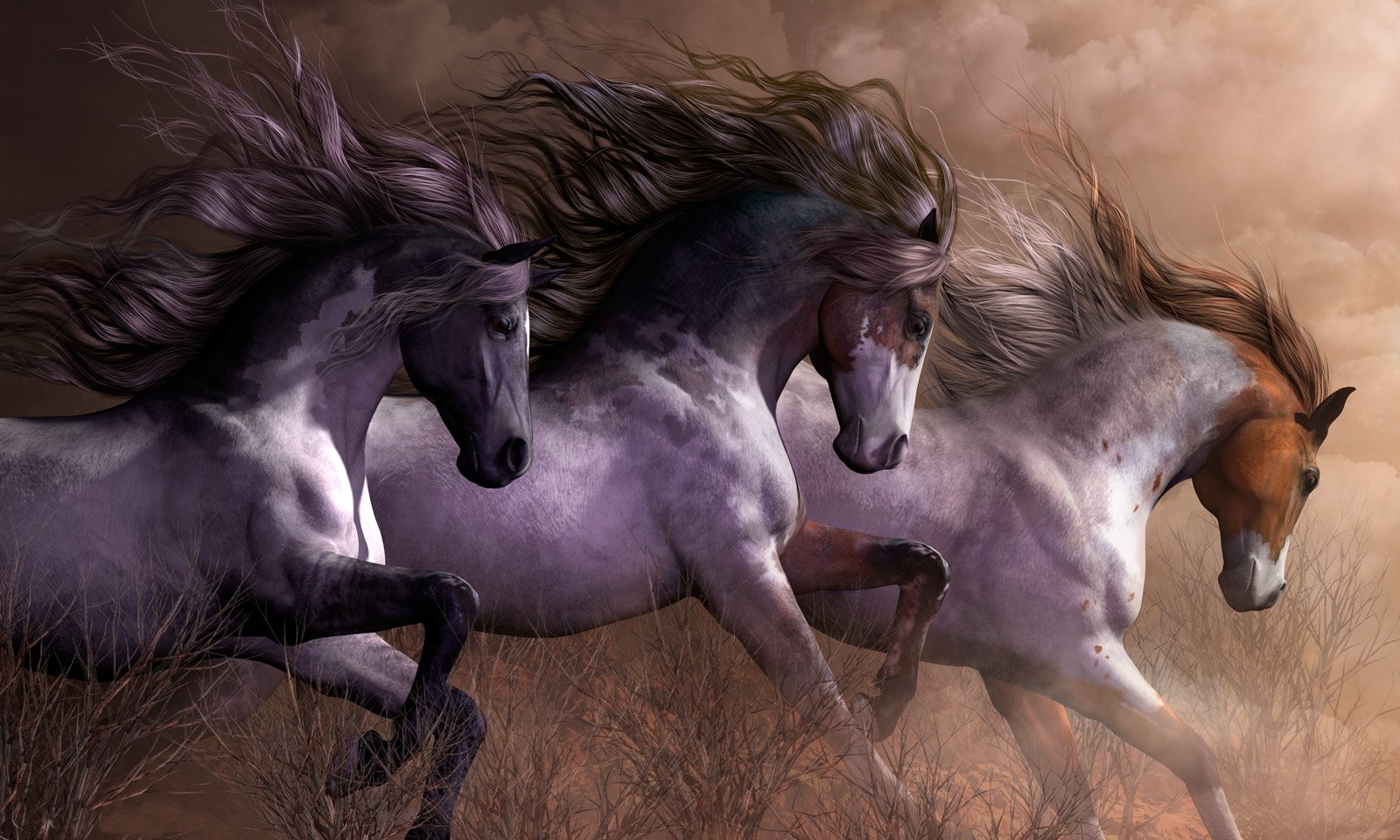 Beautiful Wild Horses wallpaper   ForWallpapercom 1600x960