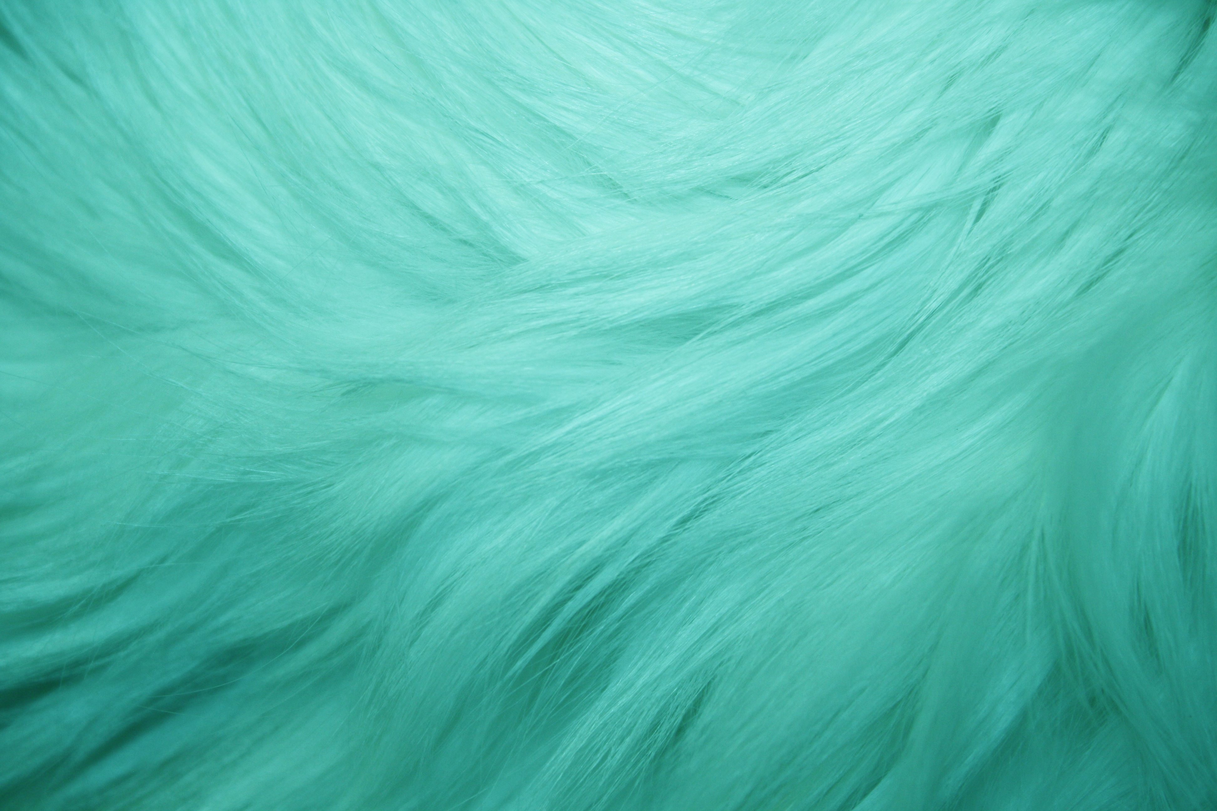 Teal Fur Texture Free High Resolution Photo Dimensions