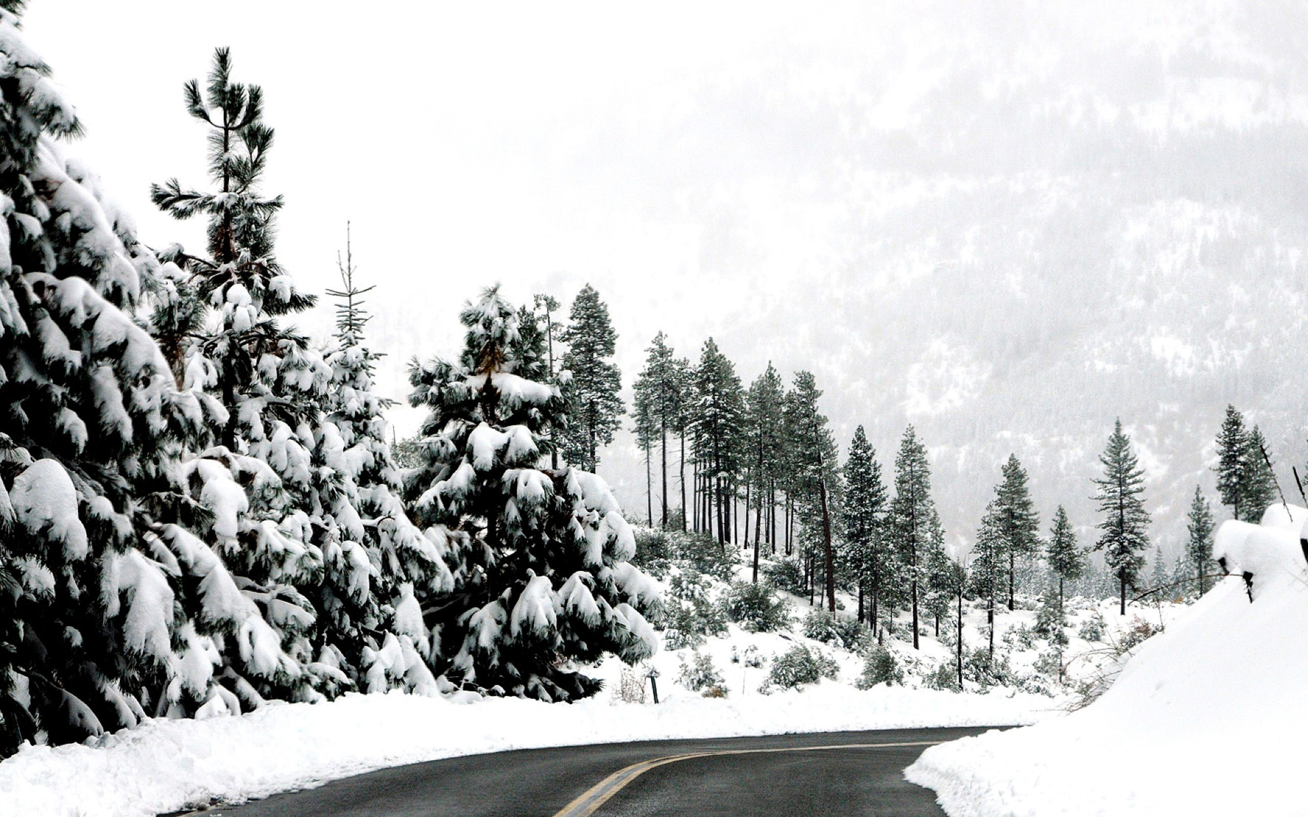 Free download Apple Wallpapers Mac Winter Wallpaper Winter On The Road On  Mac [2560x1600] for your Desktop, Mobile & Tablet | Explore 68+ Mac Winter  Wallpaper | Mac Background, Winter Wallpaper For
