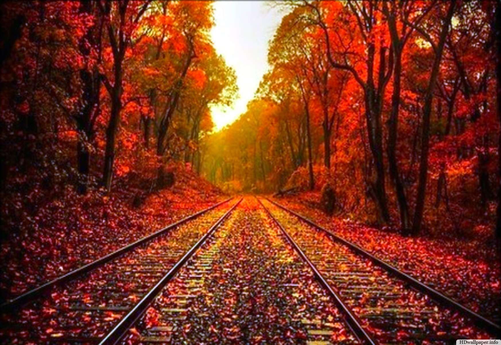 Beautiful Autumn Desktop Wallpaper HD