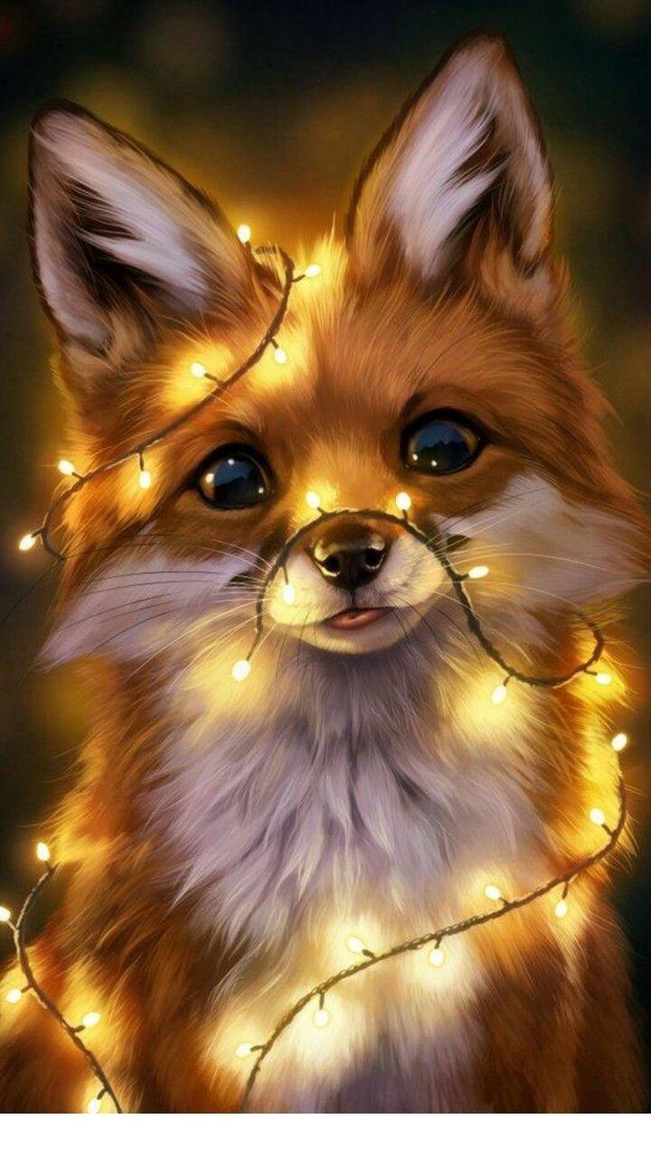 Cute Fox Wallpaper Mobcup