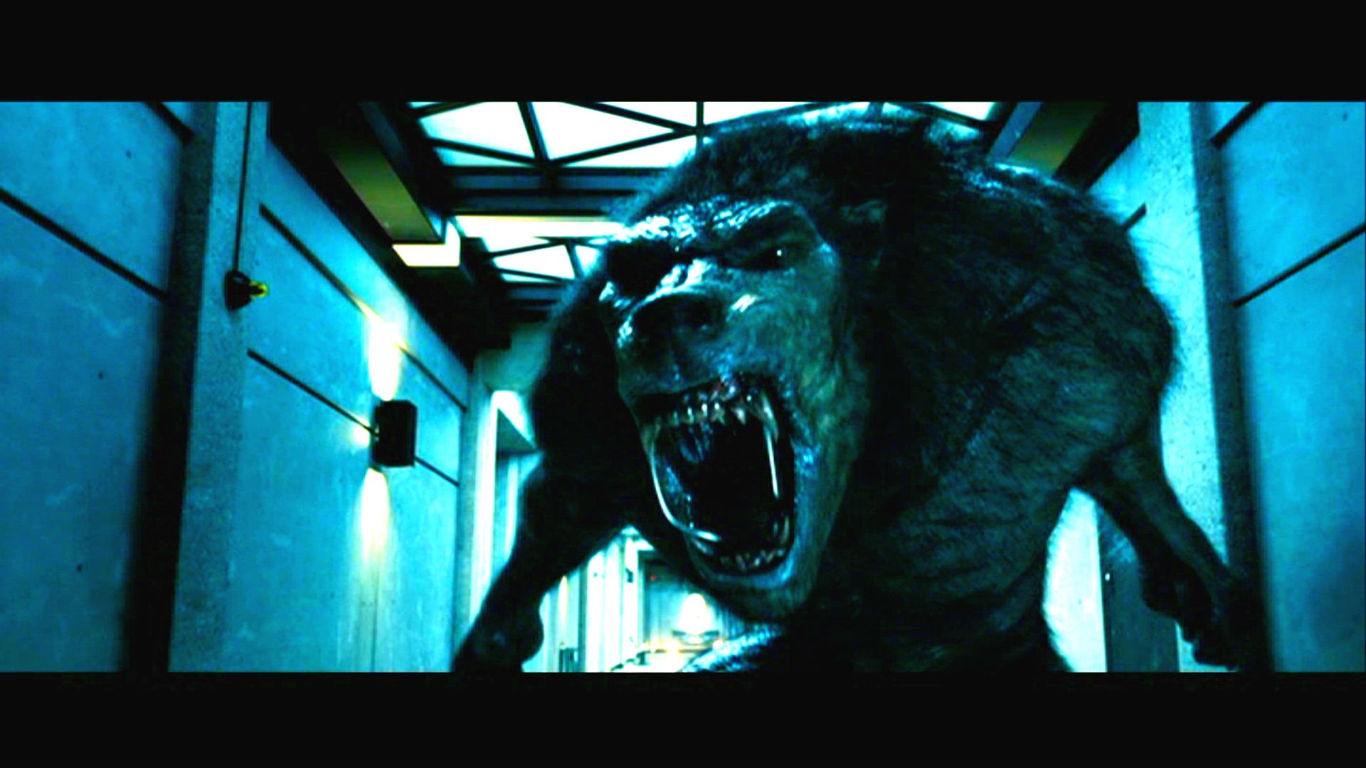 Underworld Action Fantasy Thriller Dark Lycan Werewolf Gd