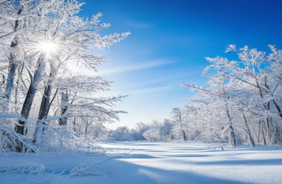 Winter Pictures Wallpaper