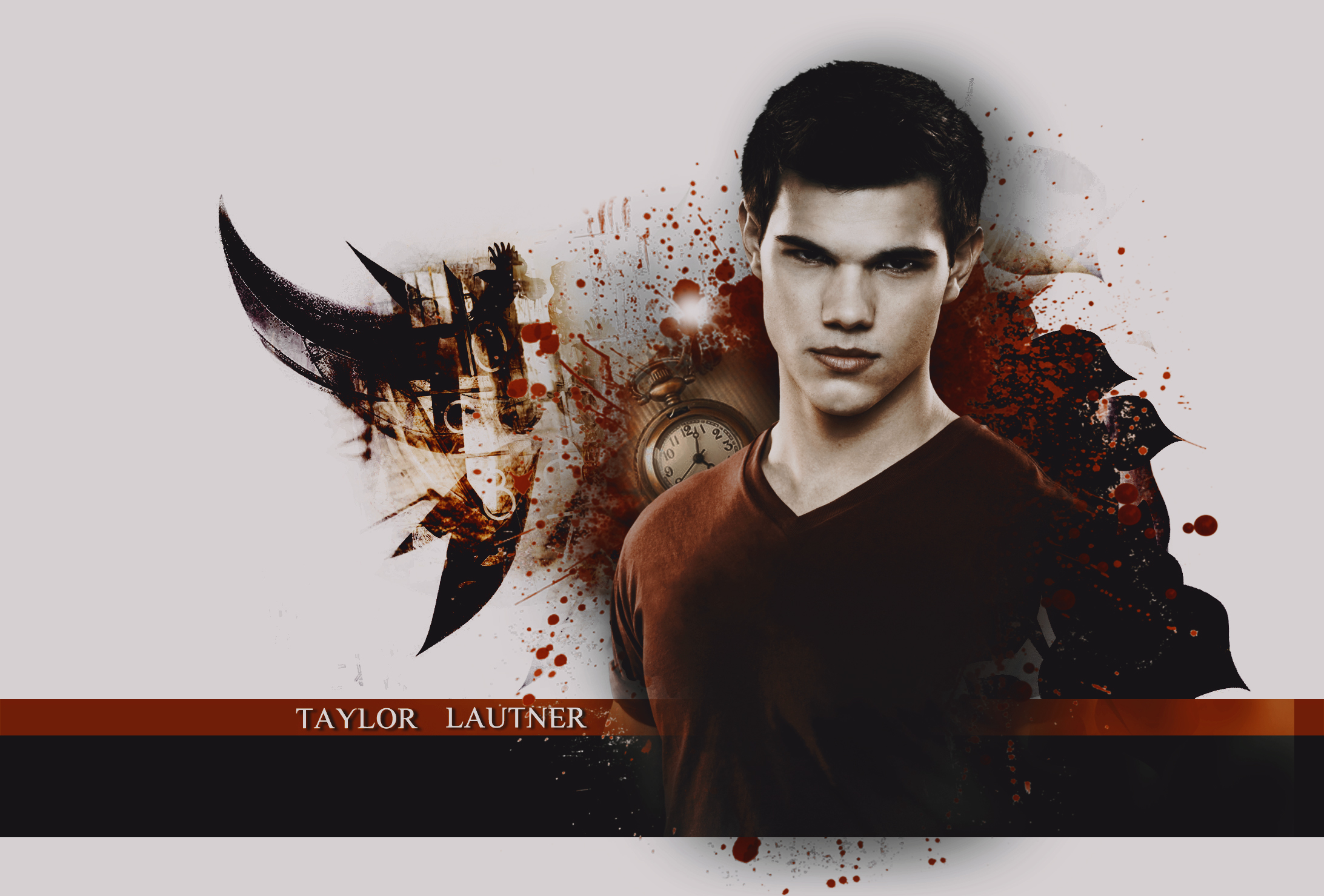 Taylor Lautner Wallpaper By Kiznova