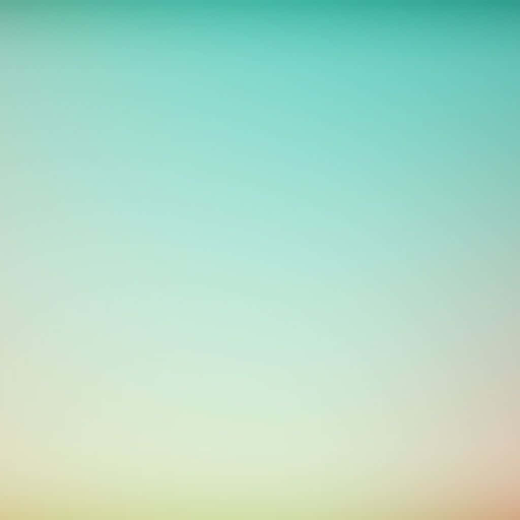 Blank Picture Wallpaper
