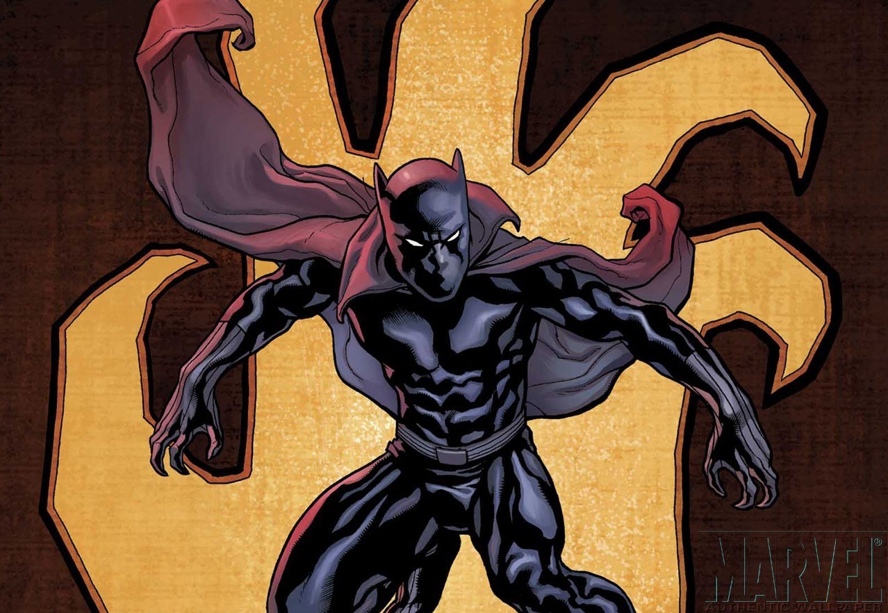 Black Panther   Marvel Comics Photo 4005347