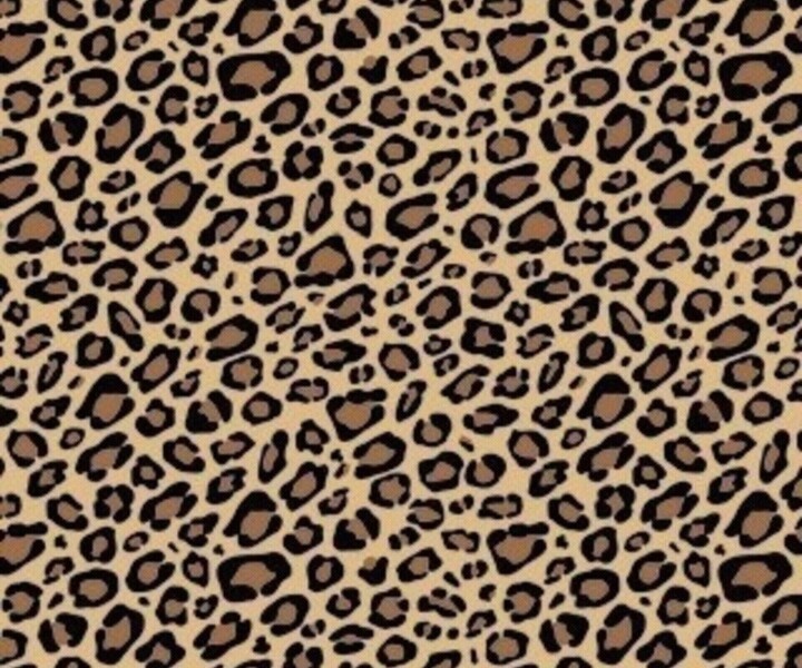 leopard print Cute phone wallpaper Pinterest 720x600