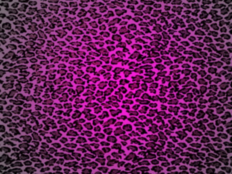 Purple Leopard Print Background Image Graphic Picture Photo