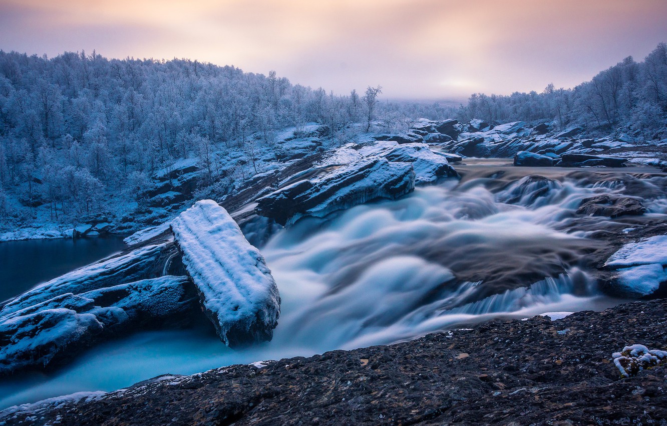 Wallpaper Forest River Sweden The First Snow Winter Is