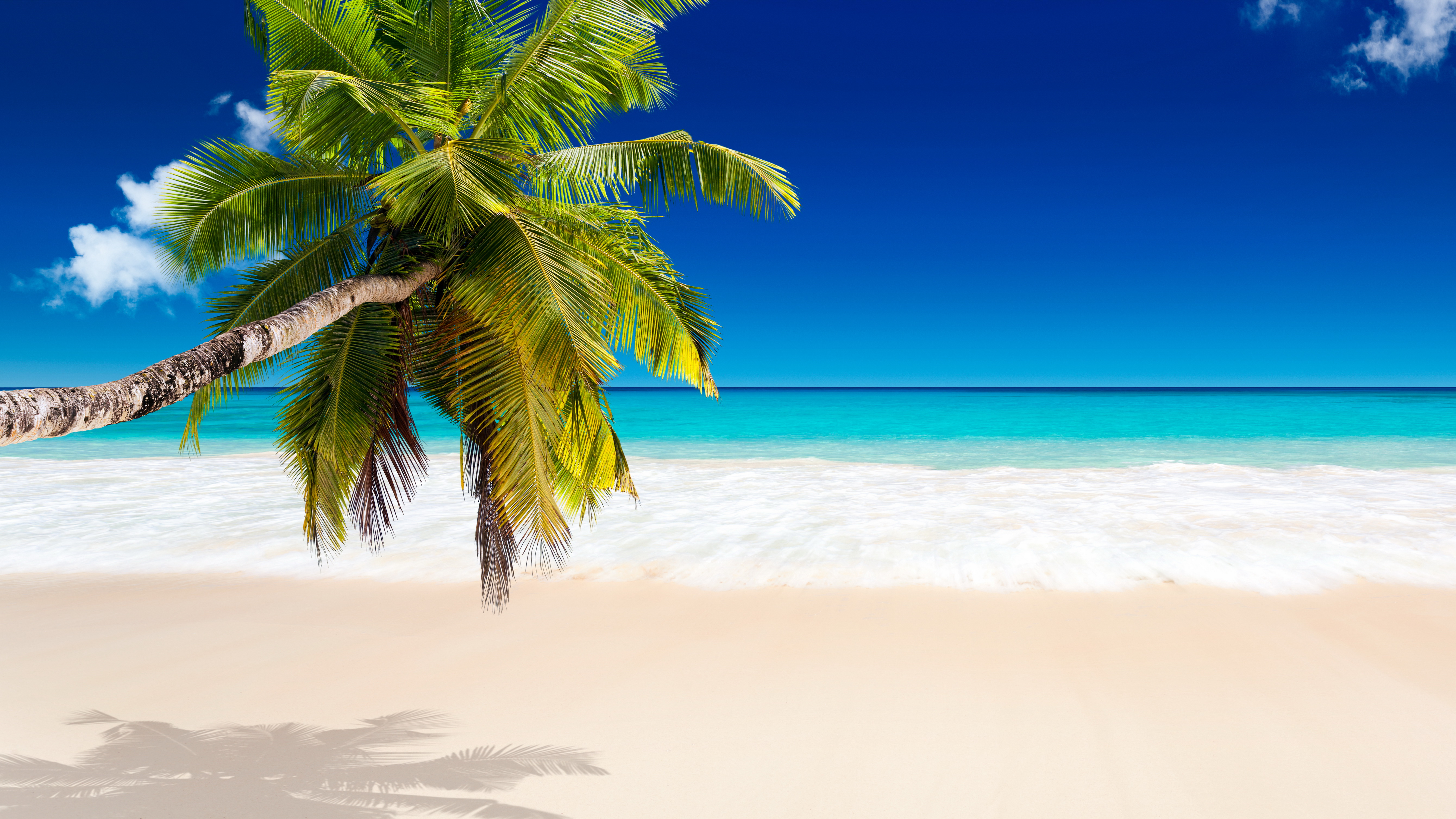 Tropical Beach Wallpapers Pictures Images 5360x3015