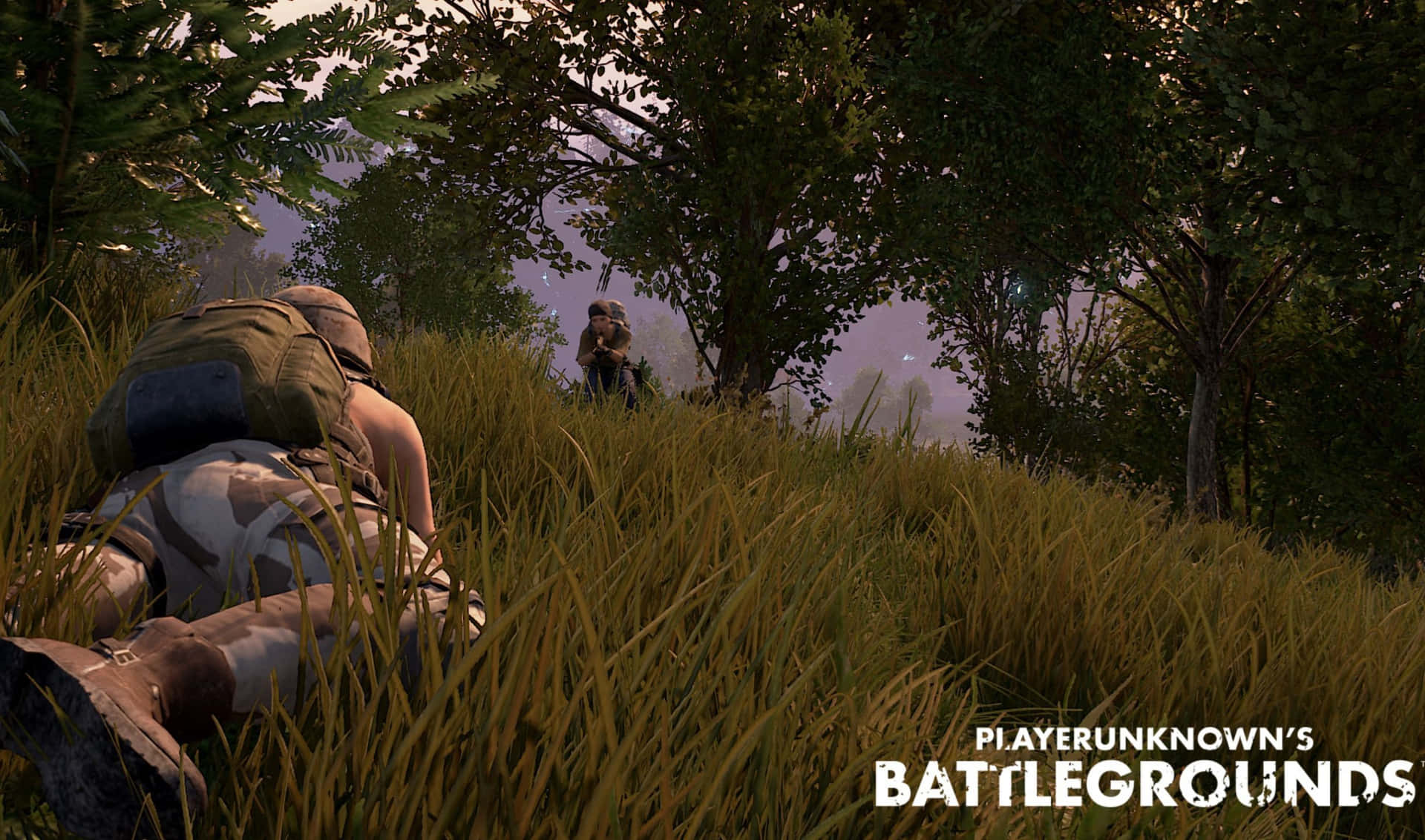 Playerunknown S Battlegrounds Background Wallpaper