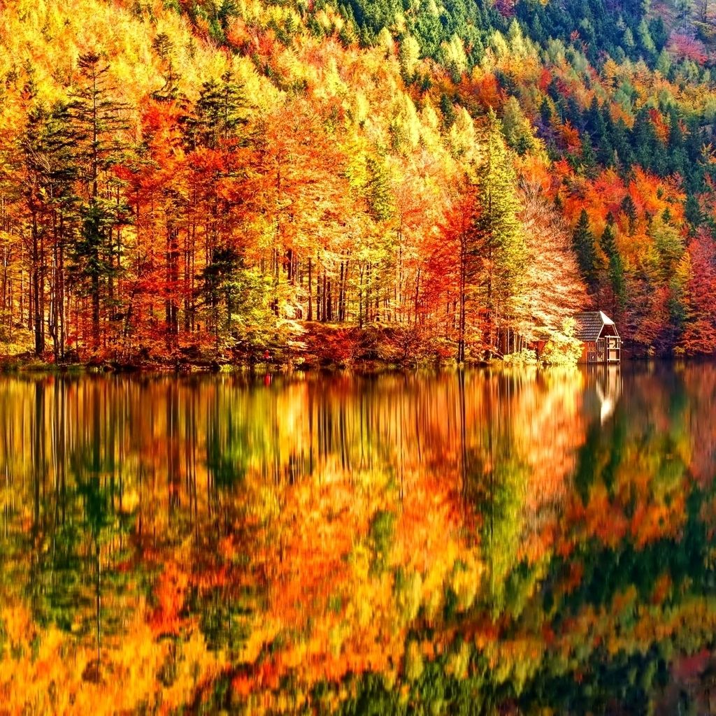 Autumn iPad Wallpaper