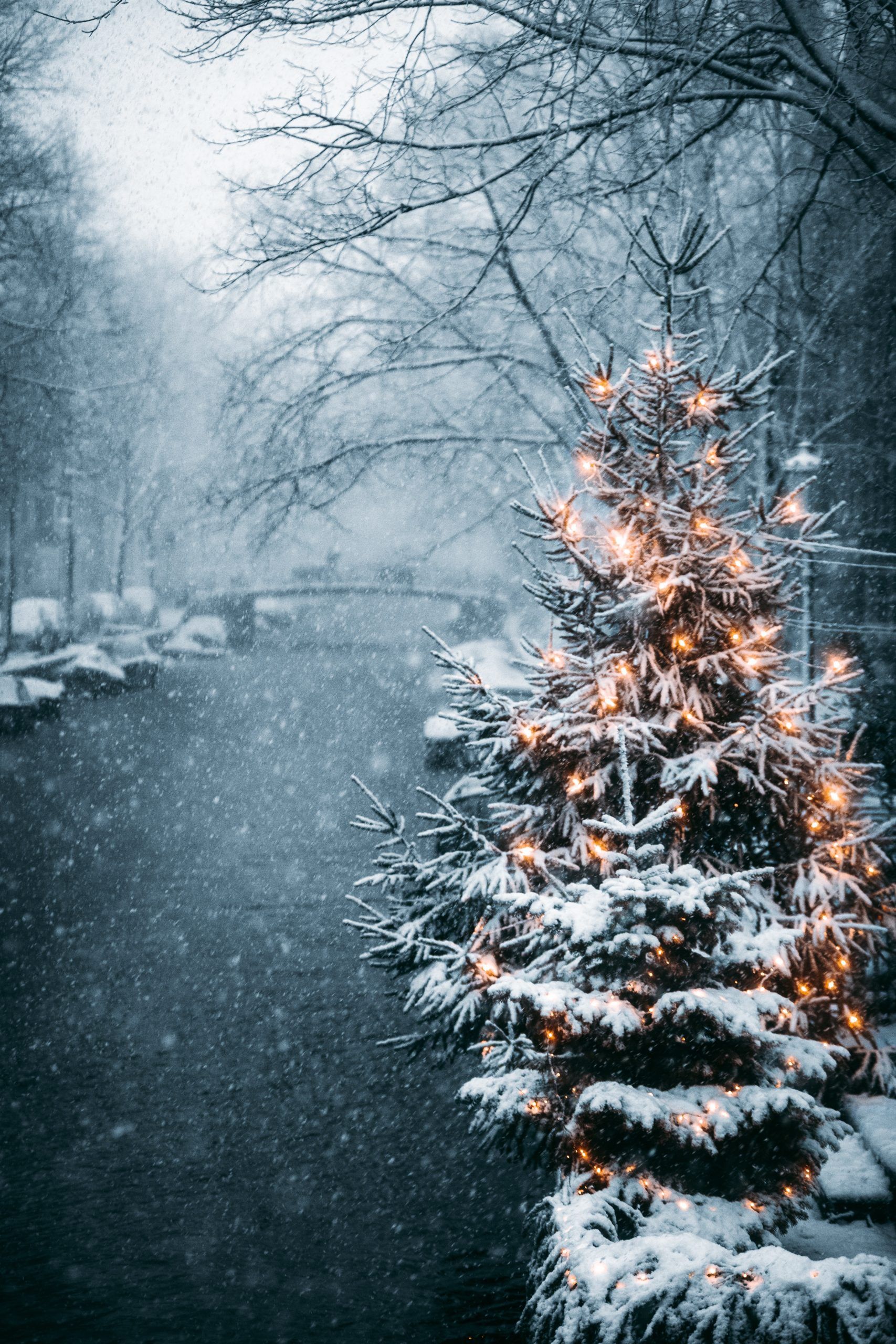 Snow Aesthetic Wallpaper