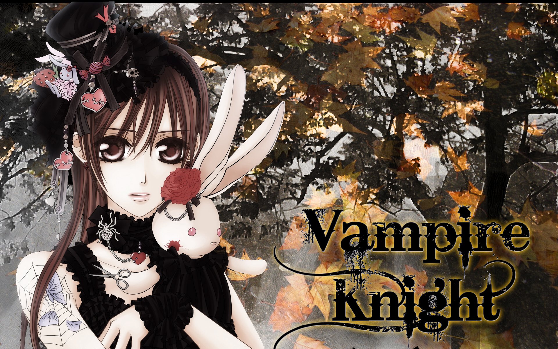 Vampire Knight Wallpaper Anime Desu