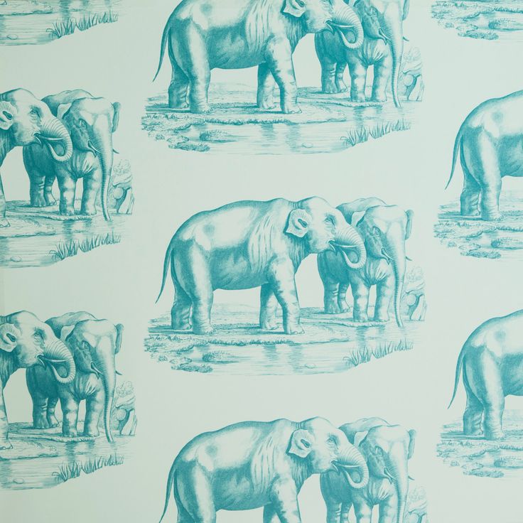 Gossip in Blue Lagoon Abnormals Anonymous wallpaper elephants