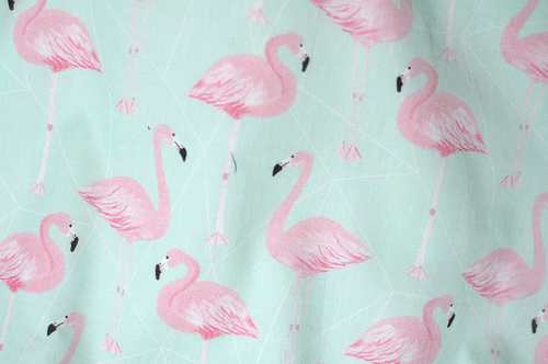 flamingo wallpaper Tumblr 500x332