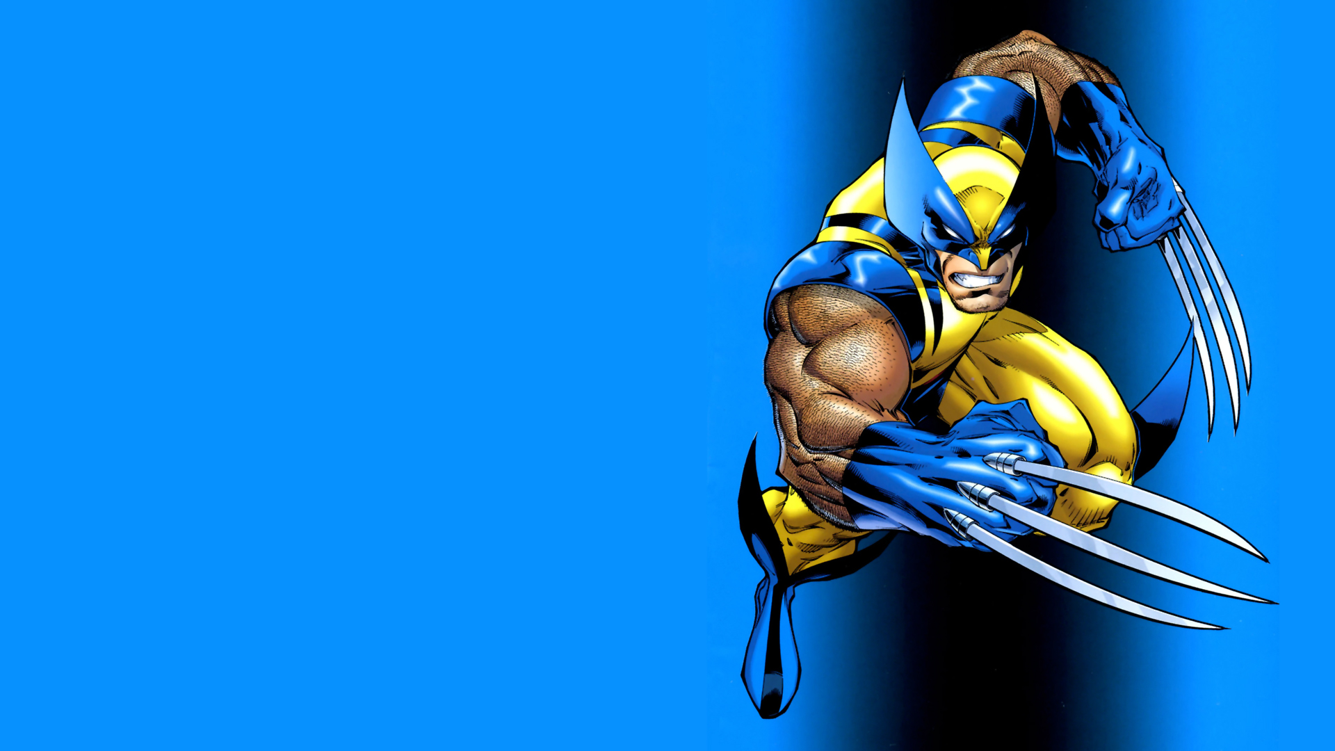 Wolverine Puter Wallpaper Desktop Background Id